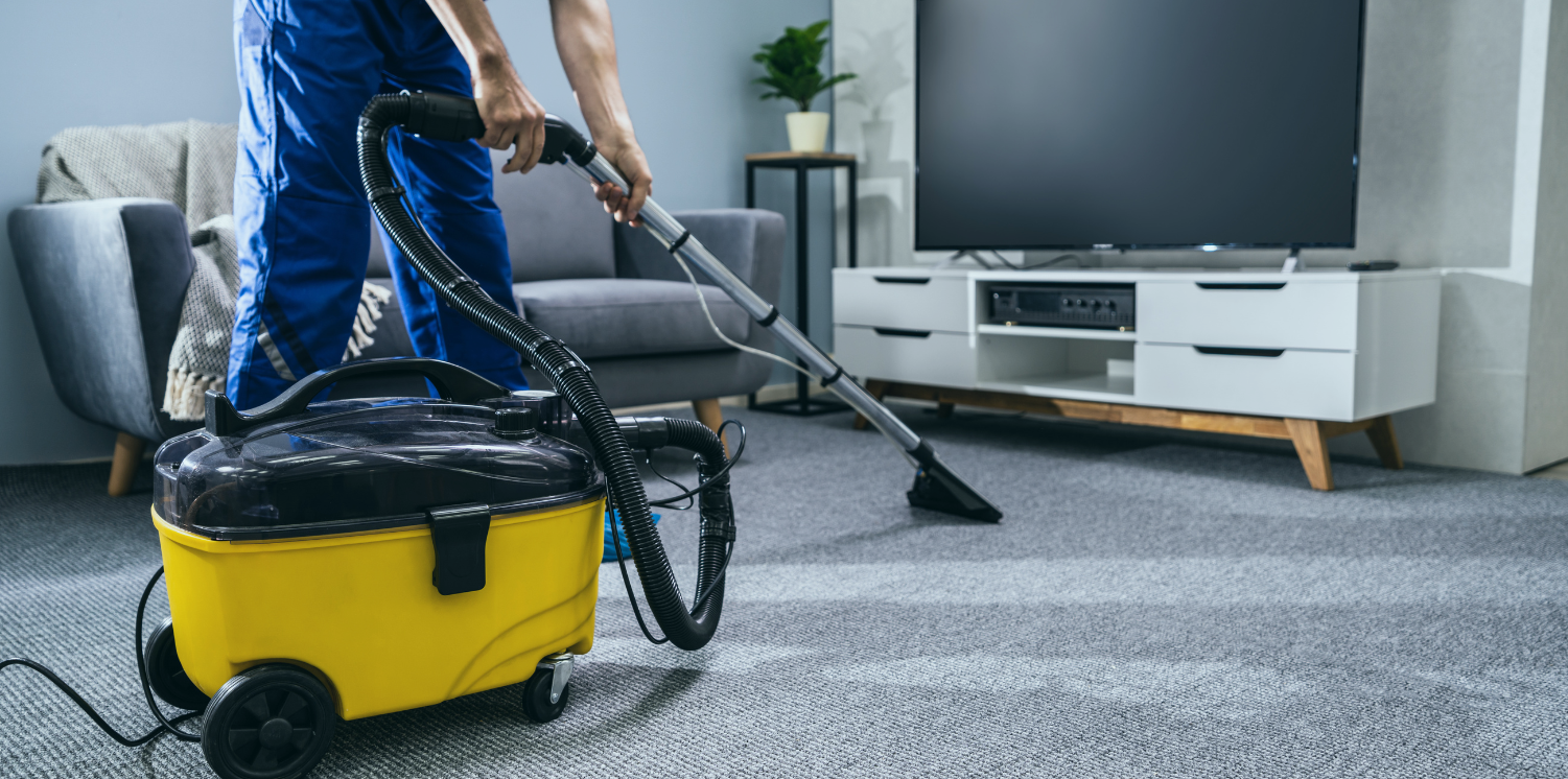 Fresho Carpet Cleaning Bongaree Contact Office